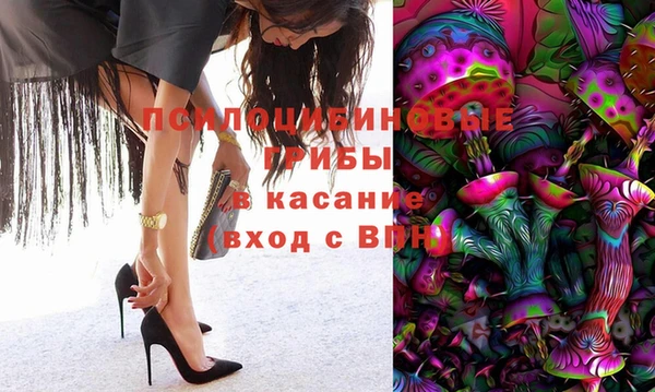 mix Гвардейск