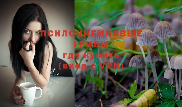 гидра Воткинск