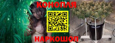 стафф Коммунар