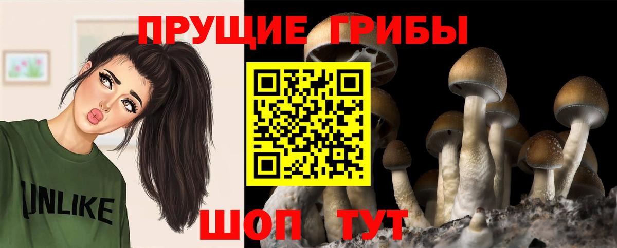 Галлюциногенные грибы прущие грибы Назарово